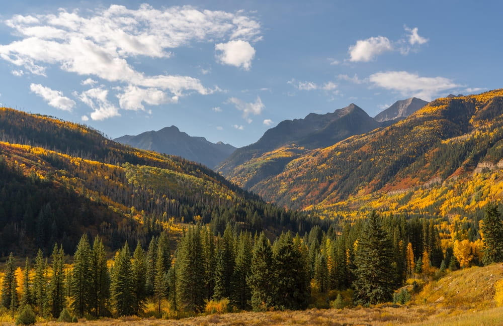 Boulder Canyon terrain along CO-119 showing narrow mountain road conditions